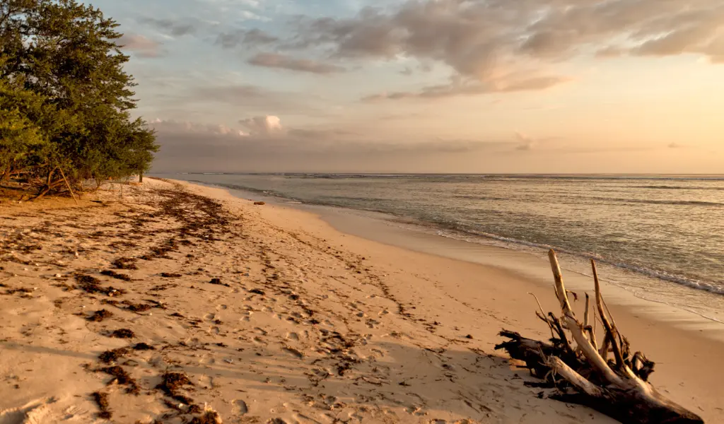 Bamburi Beach