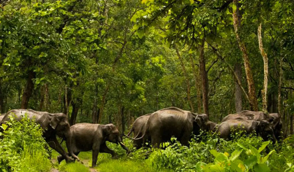 Shimba Hills National Park