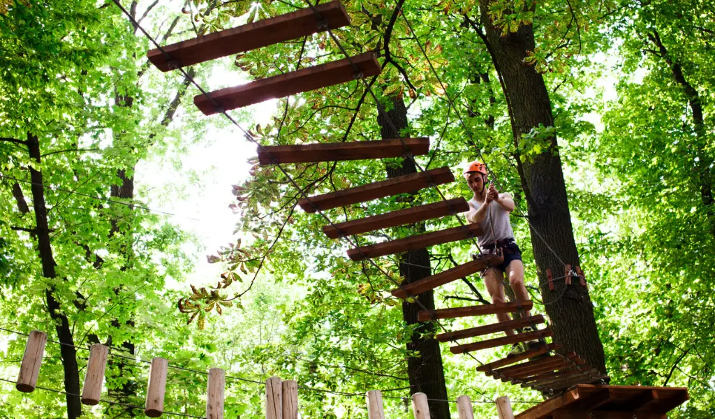 Zones et parcs incontournables